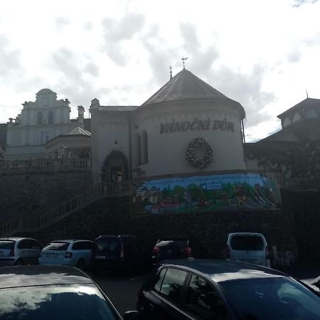 Vila Anton Karlovy Vary Dış mekan fotoğraf
